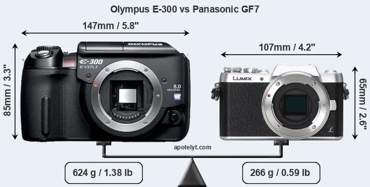 Size Olympus E-300 vs Panasonic GF7