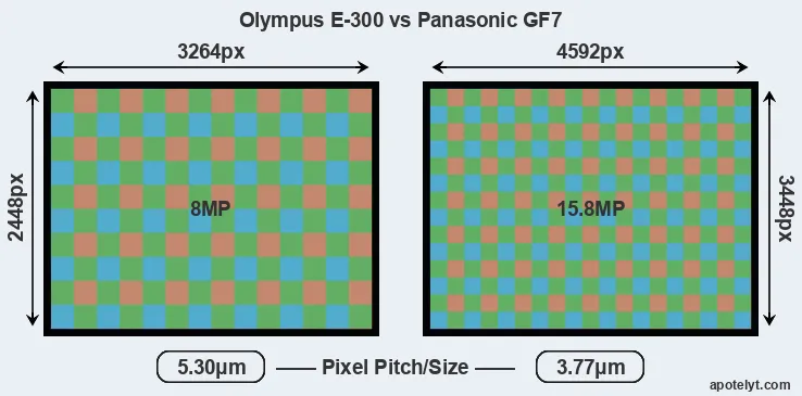 E-300 versus GF7 MP