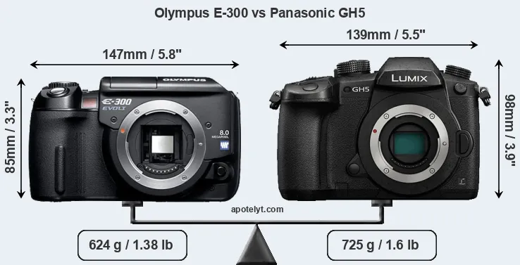 Size Olympus E-300 vs Panasonic GH5