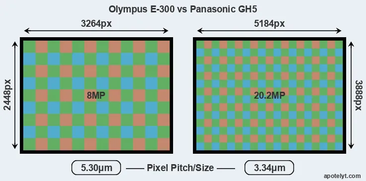 E-300 versus GH5 MP