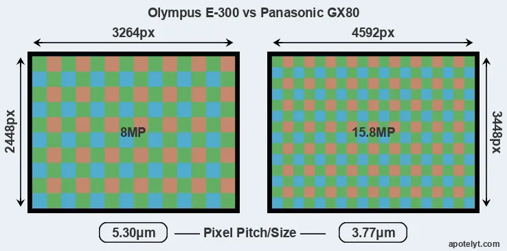 E-300 versus GX80 MP