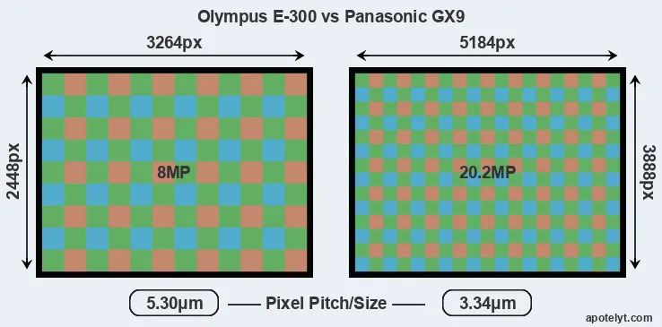 E-300 versus GX9 MP