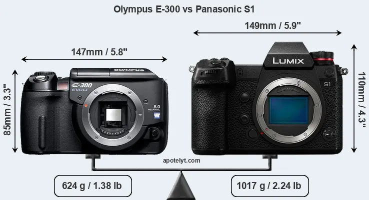 Size Olympus E-300 vs Panasonic S1