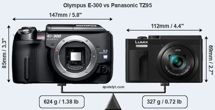 Size Olympus E-300 vs Panasonic TZ95