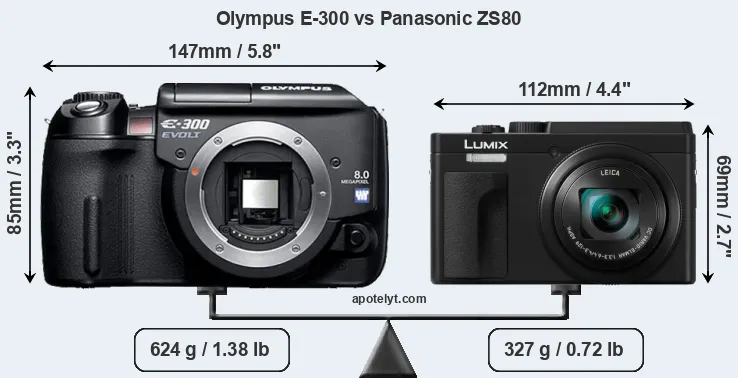 Size Olympus E-300 vs Panasonic ZS80