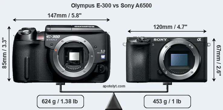Size Olympus E-300 vs Sony A6500