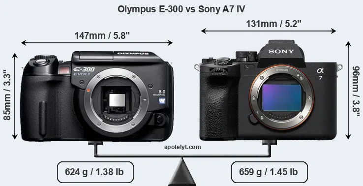 Size Olympus E-300 vs Sony A7 IV