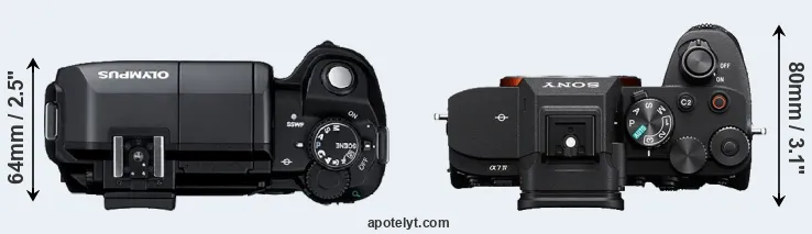 Compare E-300 versus A7 IV top