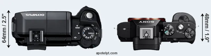 Compare E-300 versus A7 top