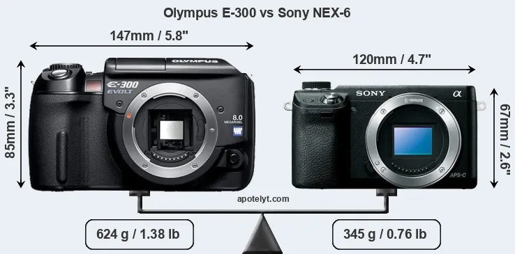 Size Olympus E-300 vs Sony NEX-6