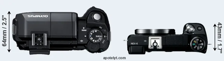 Compare E-300 versus NEX-6 top