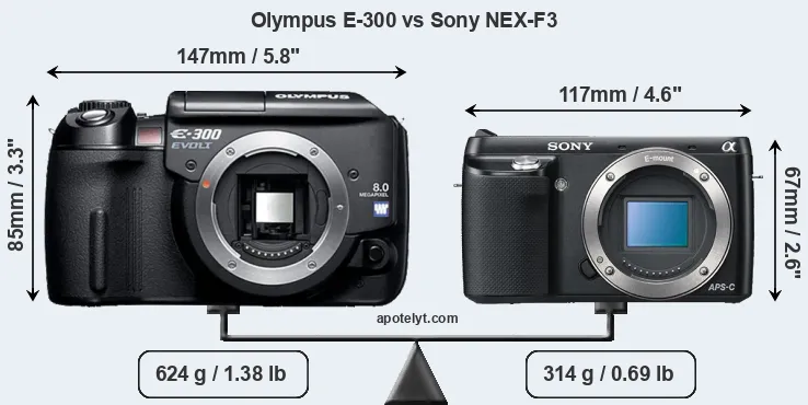 Size Olympus E-300 vs Sony NEX-F3