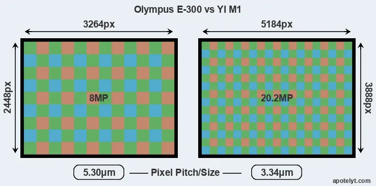 E-300 versus M1 MP