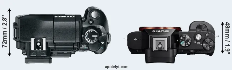 Compare E-330 versus A7 top