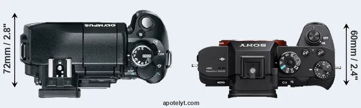 Compare E-330 versus A7S II top