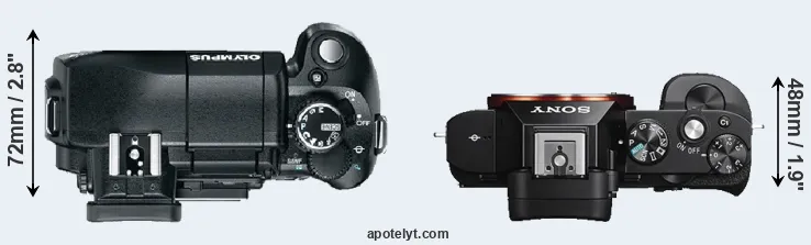 Compare E-330 versus A7S top