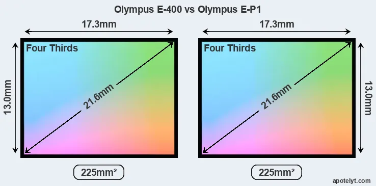 Olympus E-400 and Olympus E-P1 sensor measures