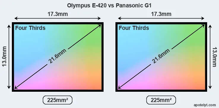 Olympus E-420 and Panasonic G1 sensor measures