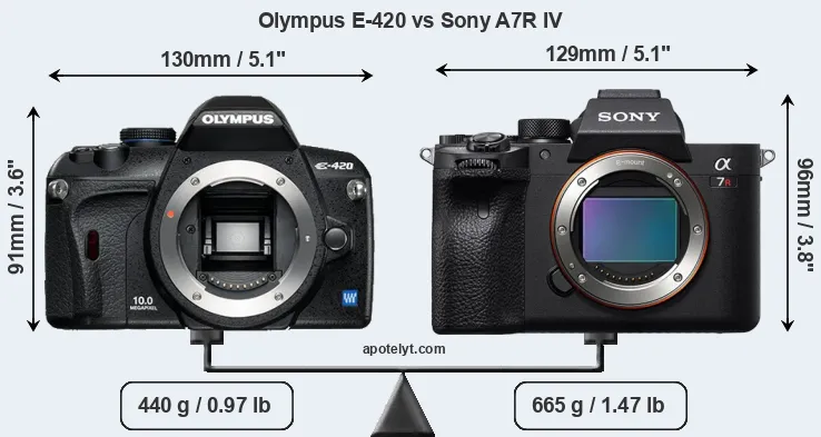 Size Olympus E-420 vs Sony A7R IV