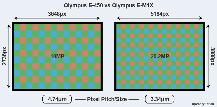E-450 versus E-M1X MP
