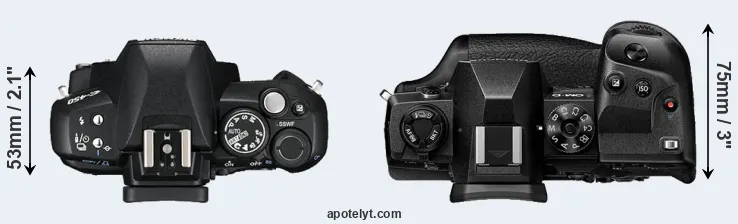 Compare E-450 versus E-M1X top