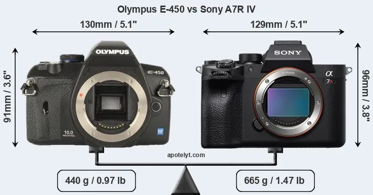 Size Olympus E-450 vs Sony A7R IV