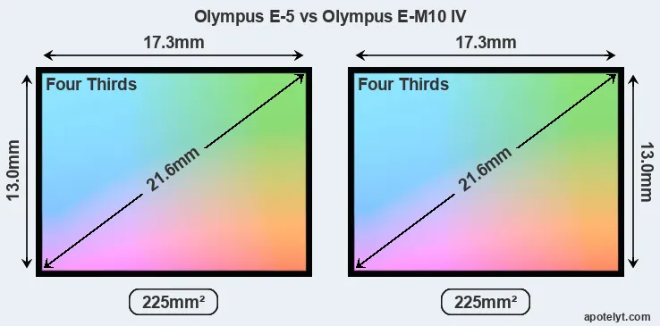 Olympus E-5 and Olympus E-M10 IV sensor measures