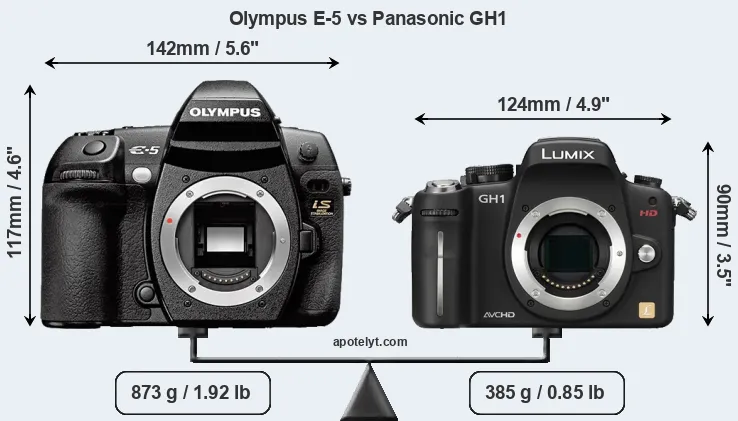 Size Olympus E-5 vs Panasonic GH1