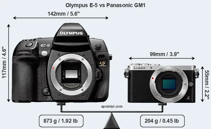 Size Olympus E-5 vs Panasonic GM1