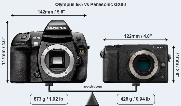 Size Olympus E-5 vs Panasonic GX80