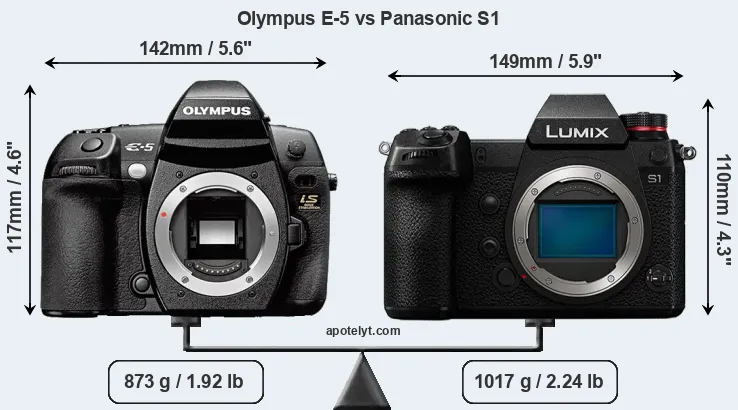 Size Olympus E-5 vs Panasonic S1