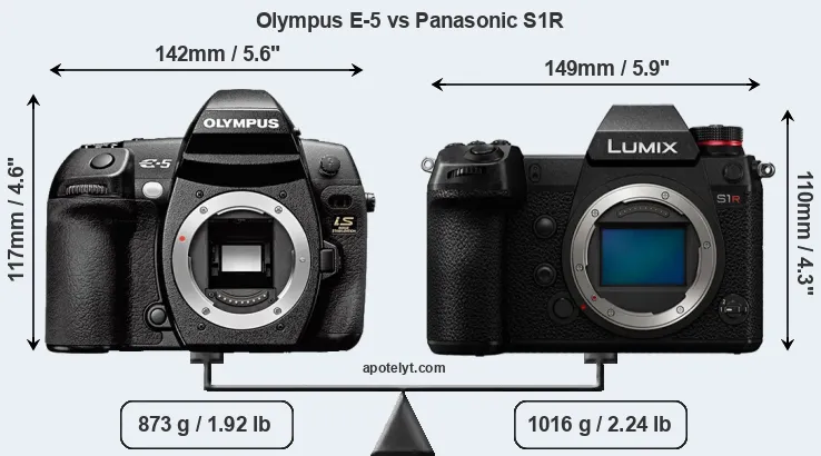 Size Olympus E-5 vs Panasonic S1R