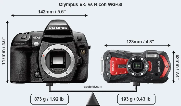 Size Olympus E-5 vs Ricoh WG-60