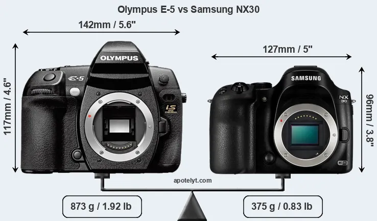 Size Olympus E-5 vs Samsung NX30