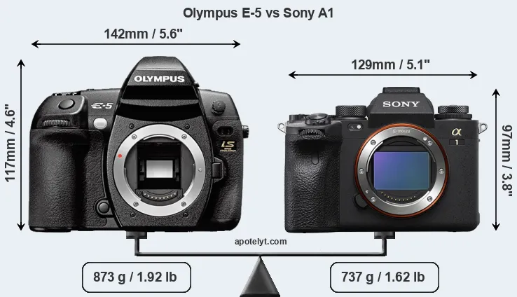 Size Olympus E-5 vs Sony A1