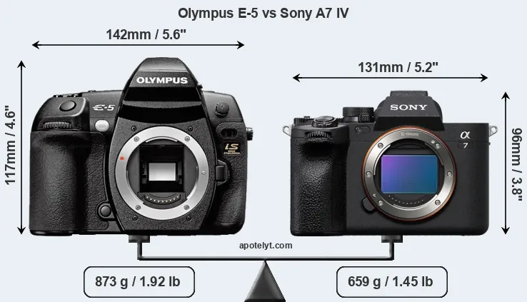 Size Olympus E-5 vs Sony A7 IV