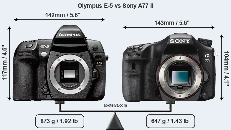 Size Olympus E-5 vs Sony A77 II