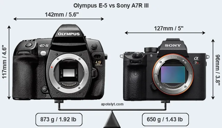 Size Olympus E-5 vs Sony A7R III
