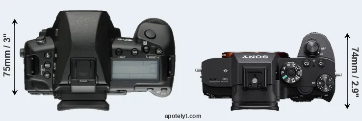 Compare E-5 versus A7R III top