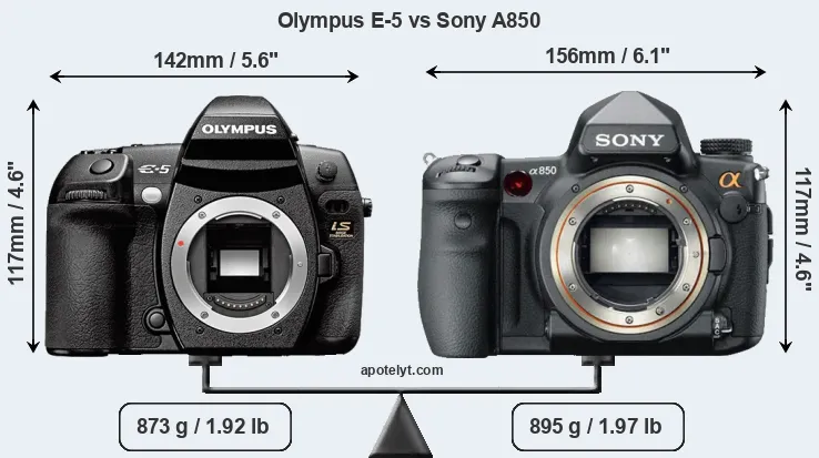 Size Olympus E-5 vs Sony A850
