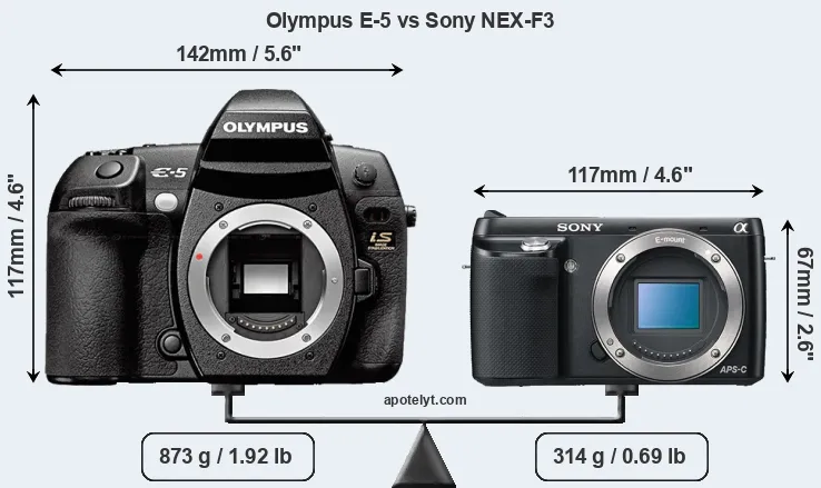 Size Olympus E-5 vs Sony NEX-F3