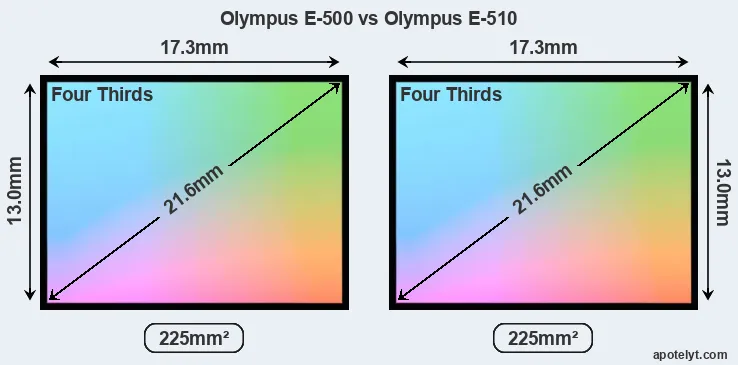 Olympus E-500 and Olympus E-510 sensor measures