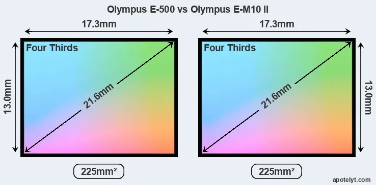 Olympus E-500 and Olympus E-M10 II sensor measures