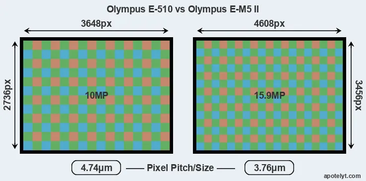 E-510 versus E-M5 II MP