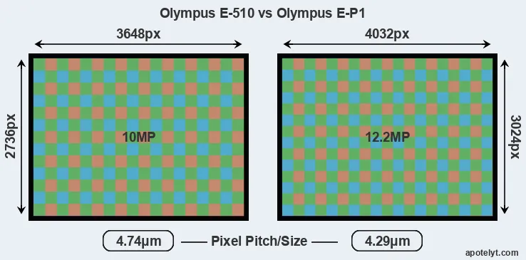 E-510 versus E-P1 MP