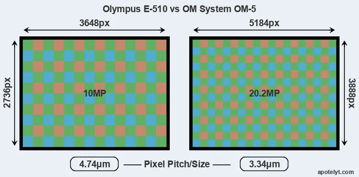 E-510 versus OM-5 MP