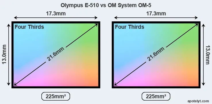 Olympus E-510 and OM System OM-5 sensor measures