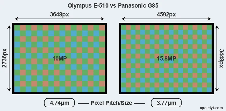 E-510 versus G85 MP
