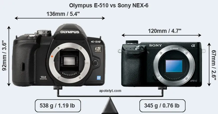 Size Olympus E-510 vs Sony NEX-6