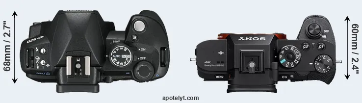 Compare E-520 versus A7S II top